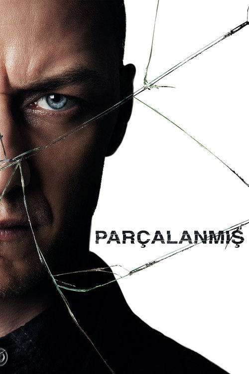 Parçalanmış Film afişi