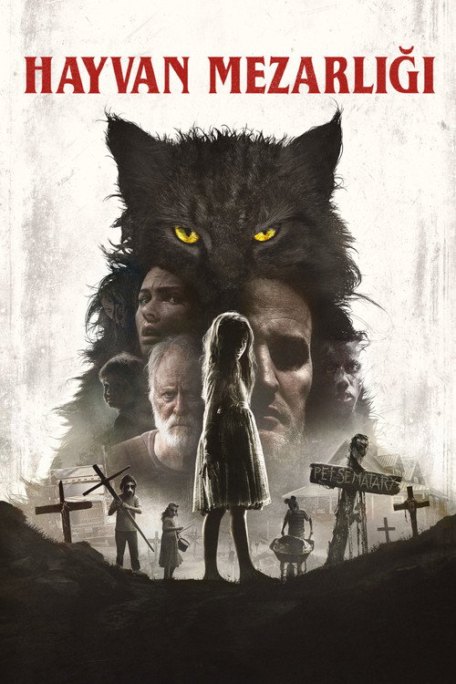 Hayvan Mezarlığı Film afişi