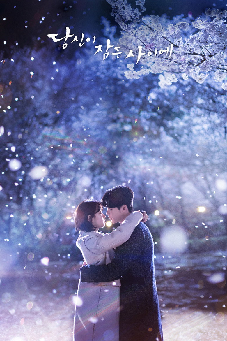 While You Were Sleeping Dizi afişi