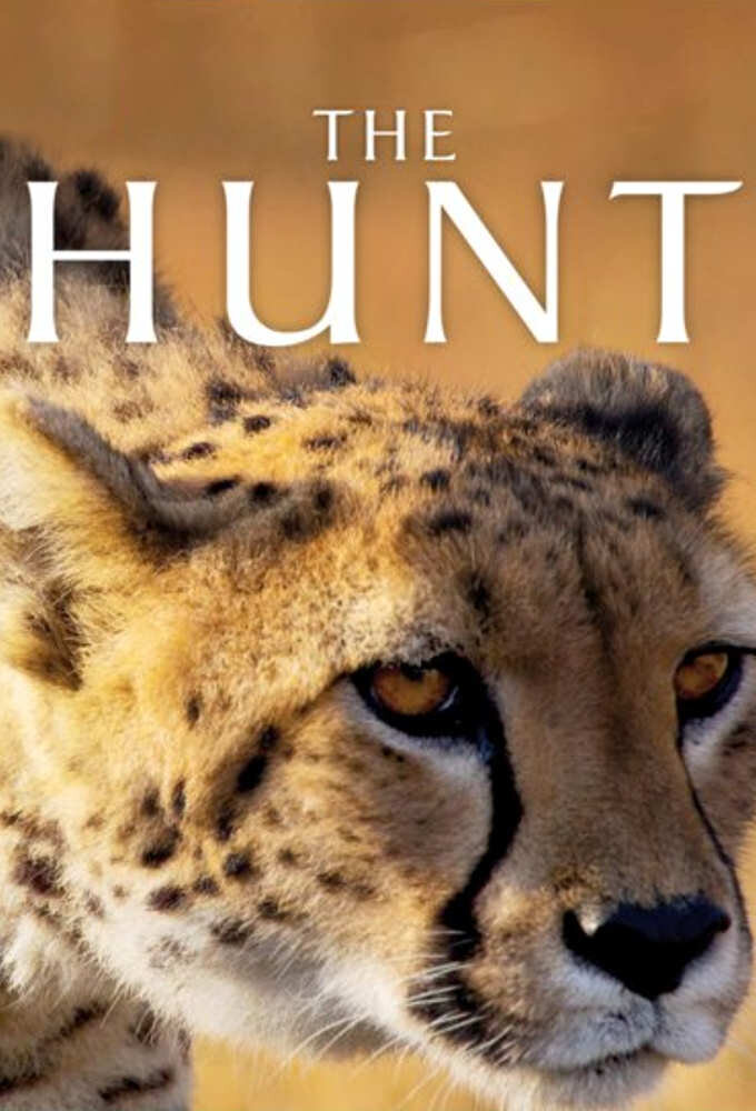 The Hunt Dizi afişi