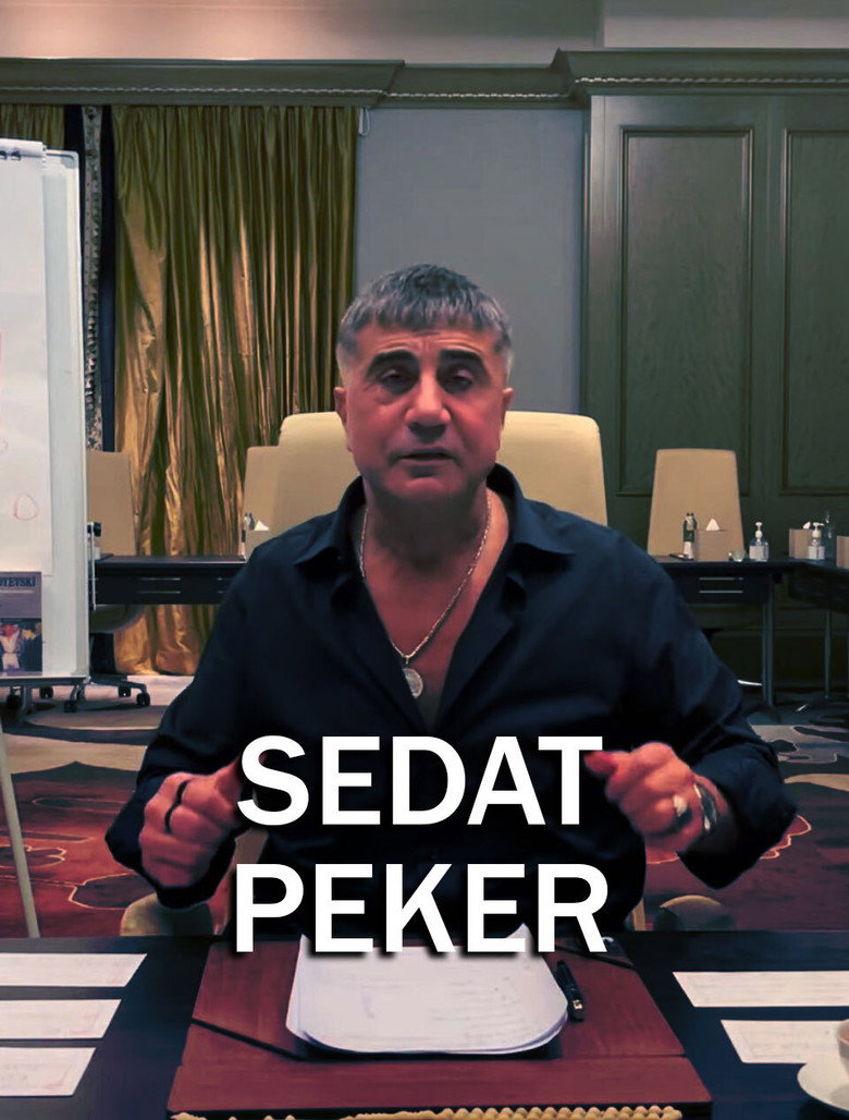Sedat Peker vs AKP Dizi afişi