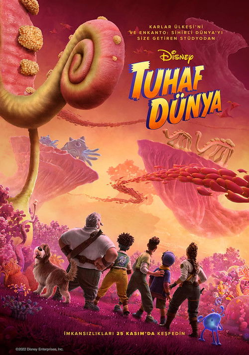 Tuhaf Dünya Film afişi