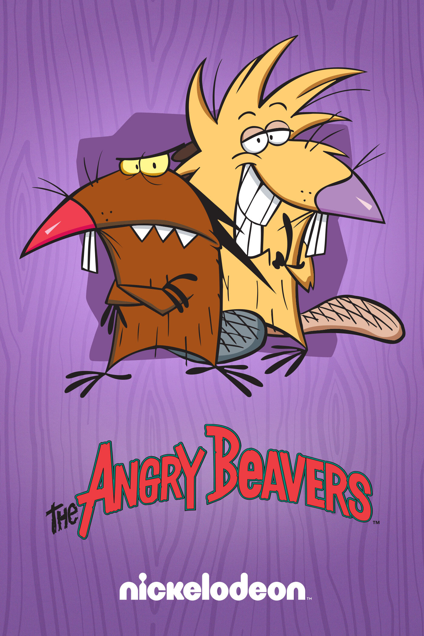 The Angry Beavers Dizi afişi