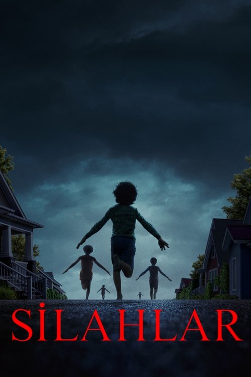 Silahlar Film afişi