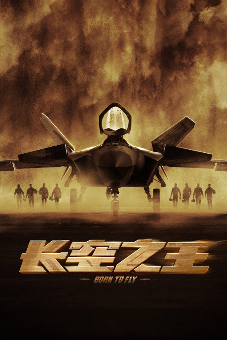 长空之王 Film afişi