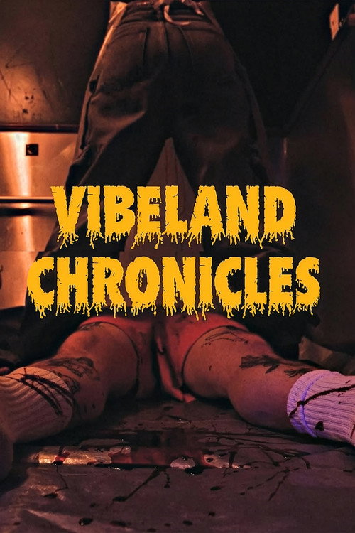 Vibeland Chronicles Film afişi