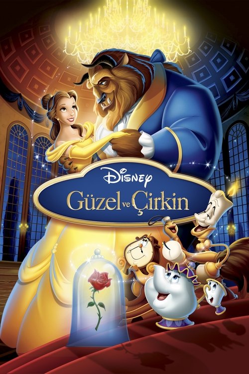 Güzel ve Çirkin Film afişi