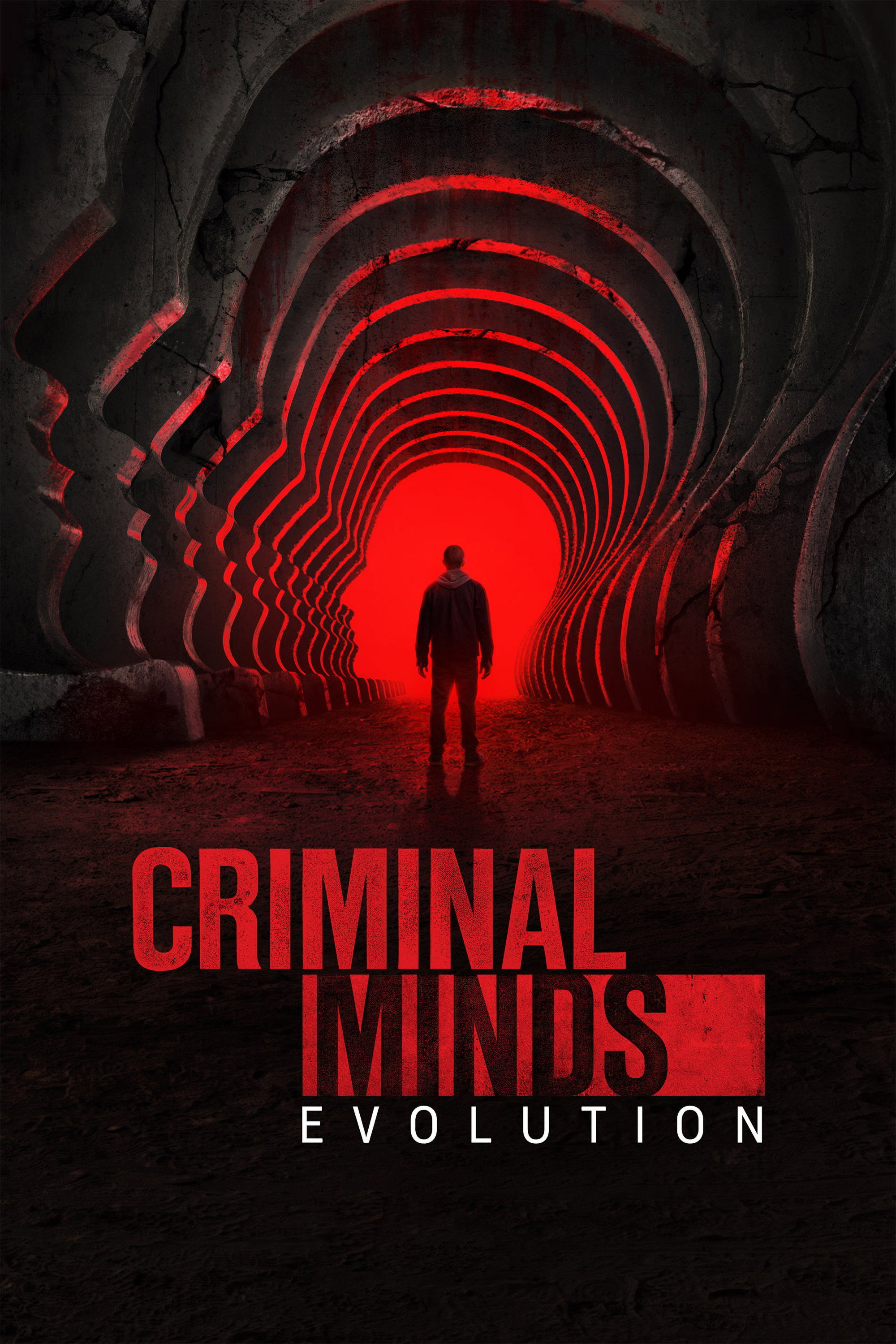 Criminal Minds Dizi afişi