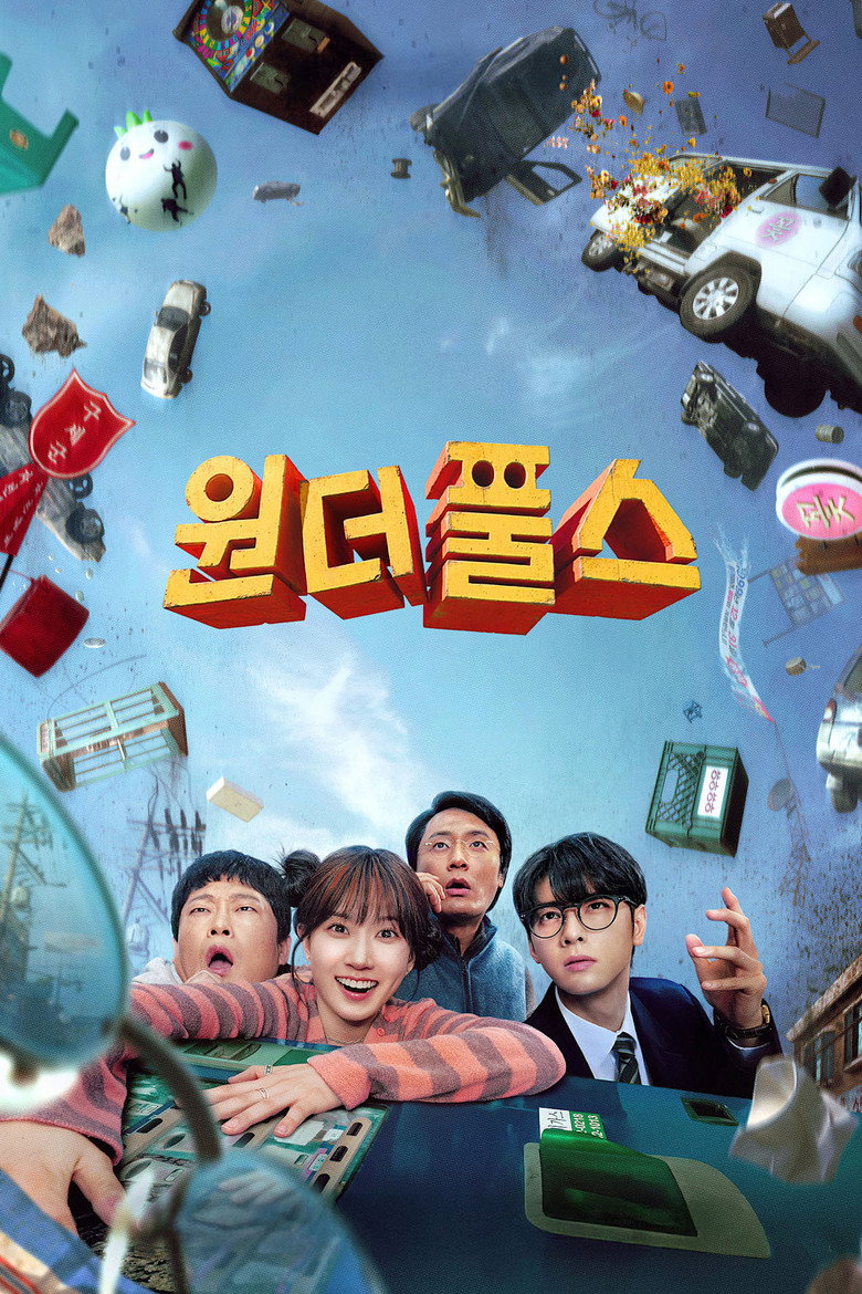 The WONDERfools Dizi afişi