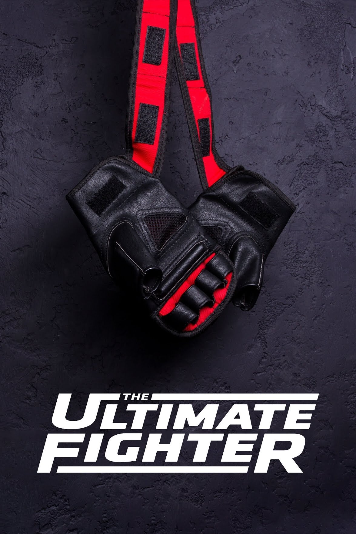 The Ultimate Fighter Dizi afişi