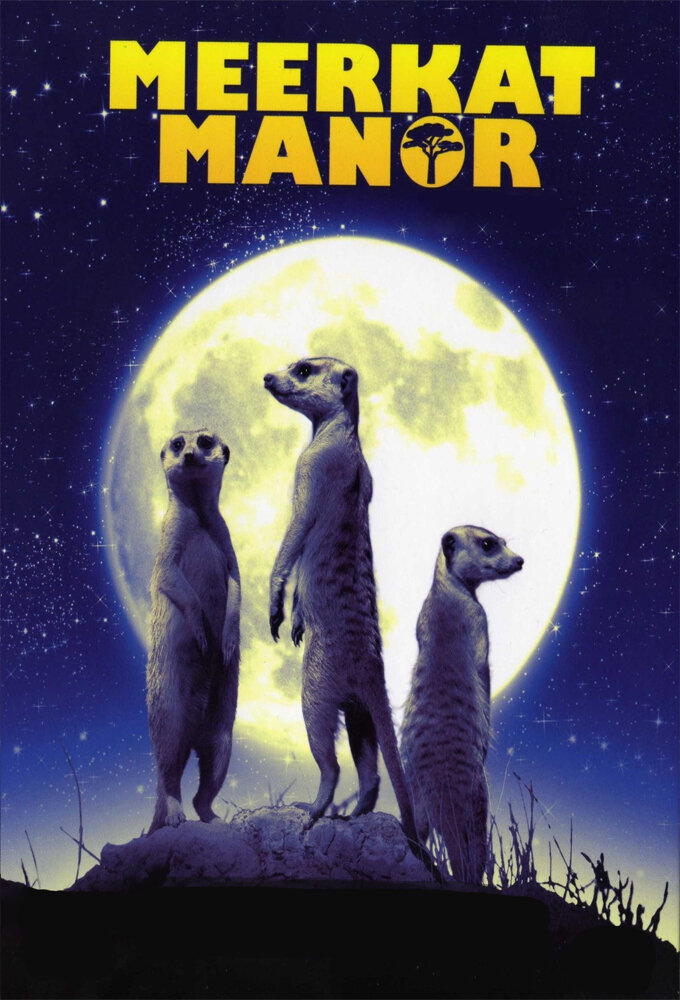 Meerkat Manor Dizi afişi