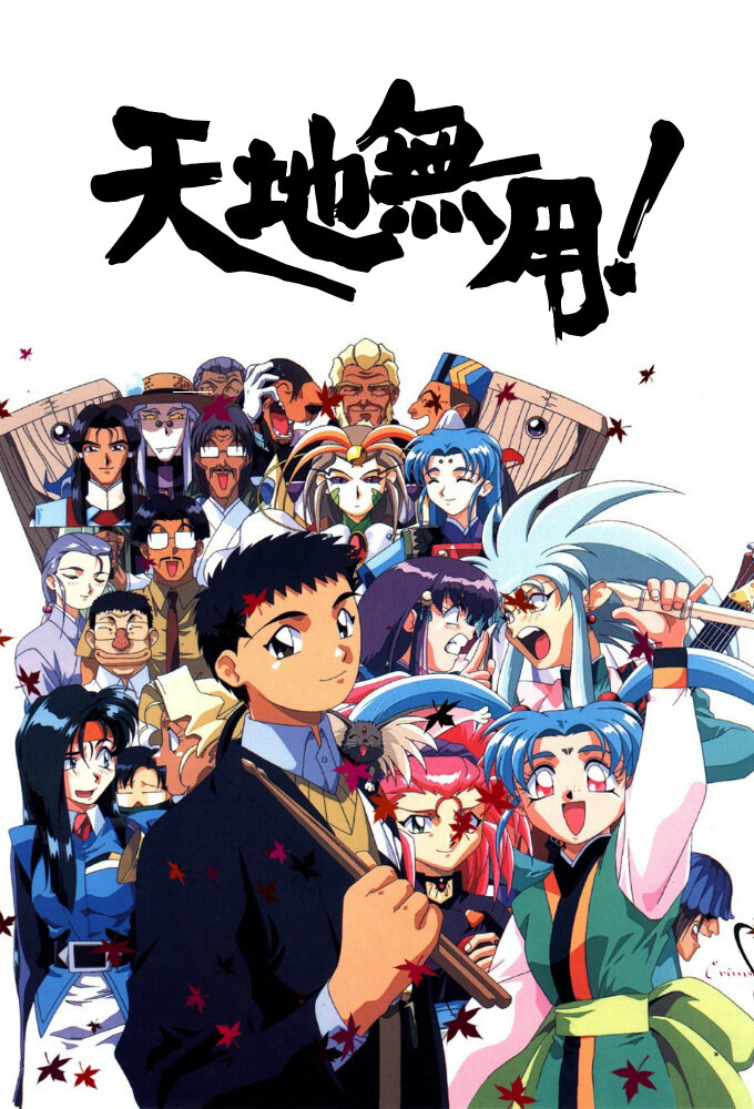 Tenchi Muyou! Dizi afişi