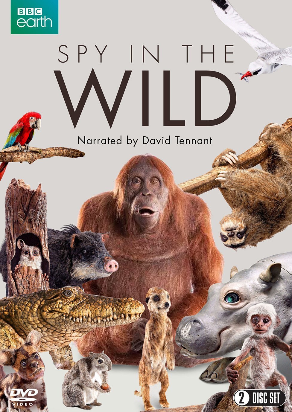 Spy in the Wild Dizi afişi
