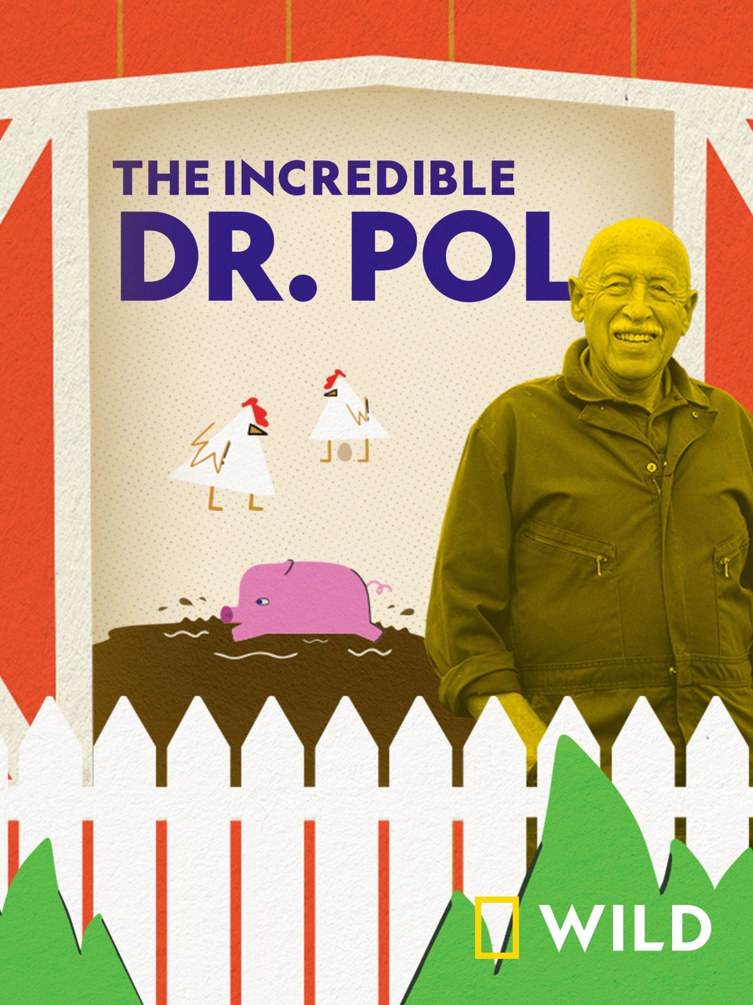 Yetenekli Doktor Pol Dizi afişi