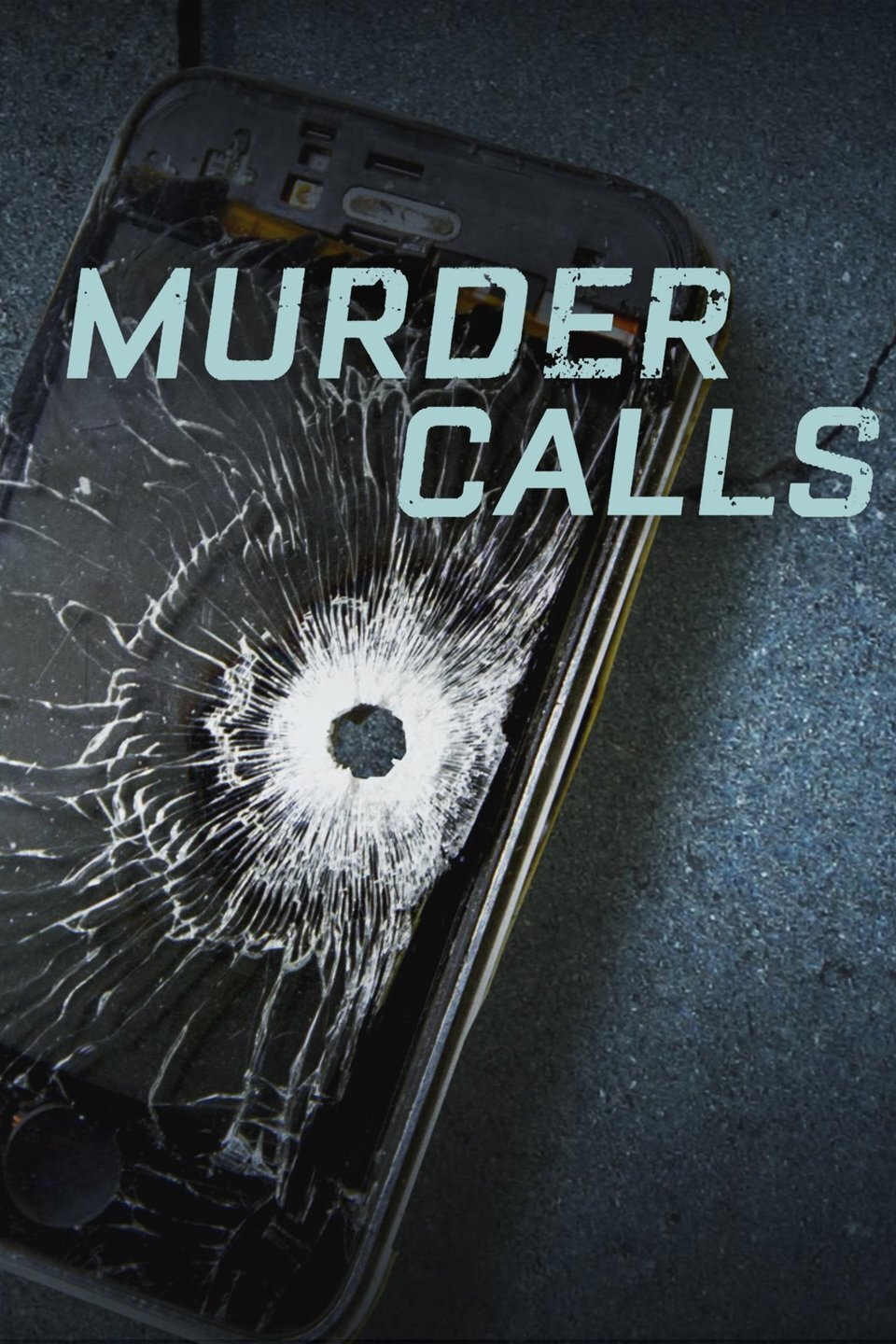 Murder Calls Dizi afişi