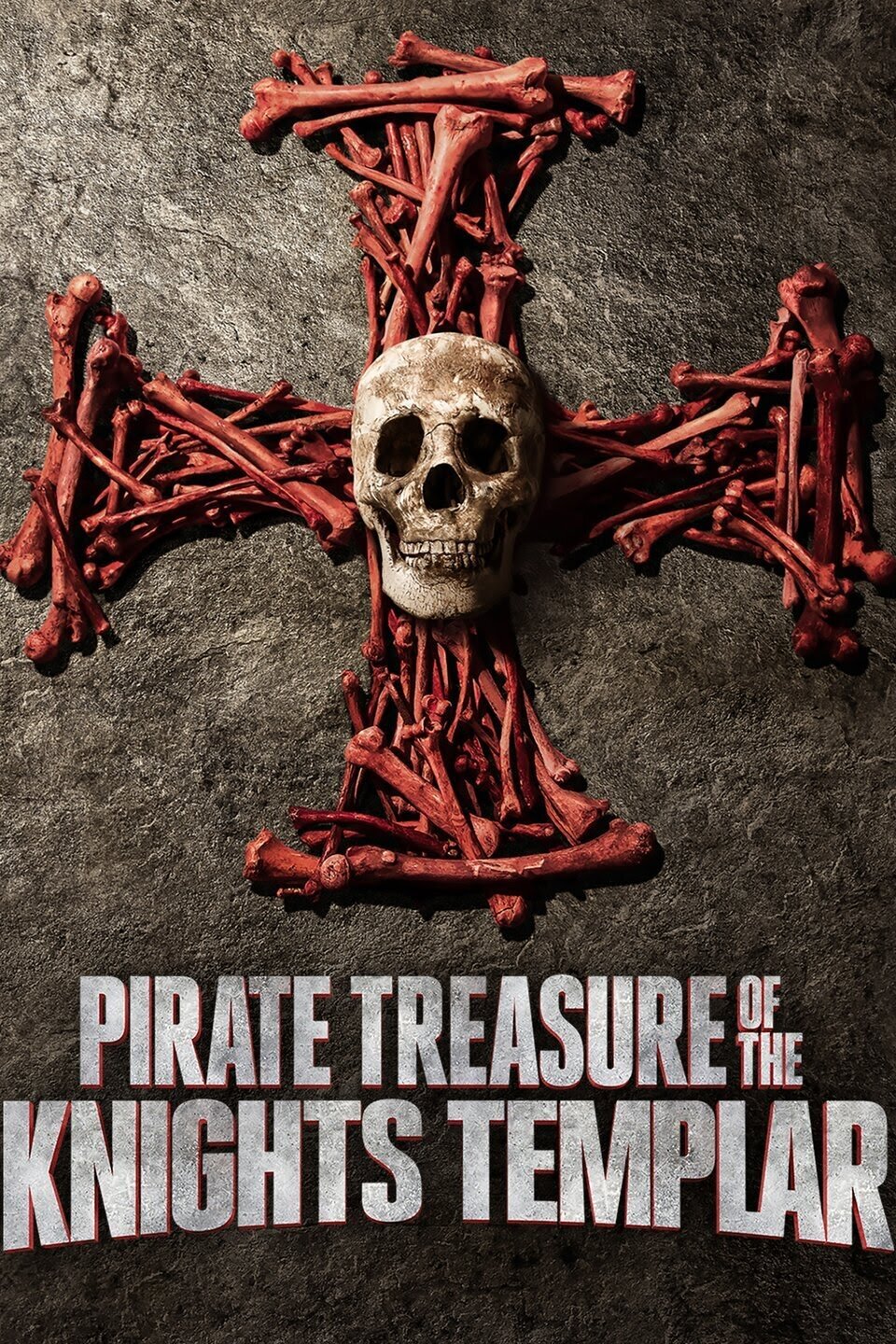 Pirate Treasure of the Knights Templar Dizi afişi