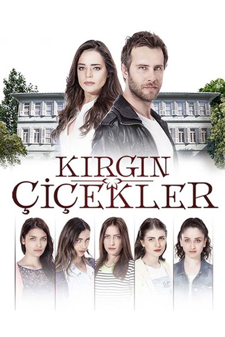 Kırgın Çiçekler Dizi afişi