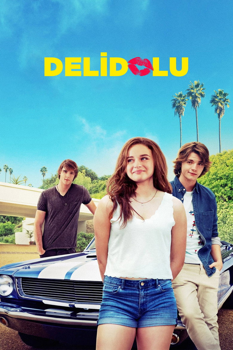 Delidolu Film afişi