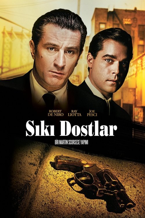 Sıkı Dostlar Film afişi