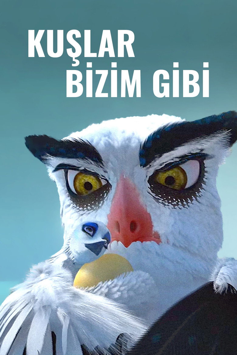 Kuşlar Bizim Gibi Film afişi