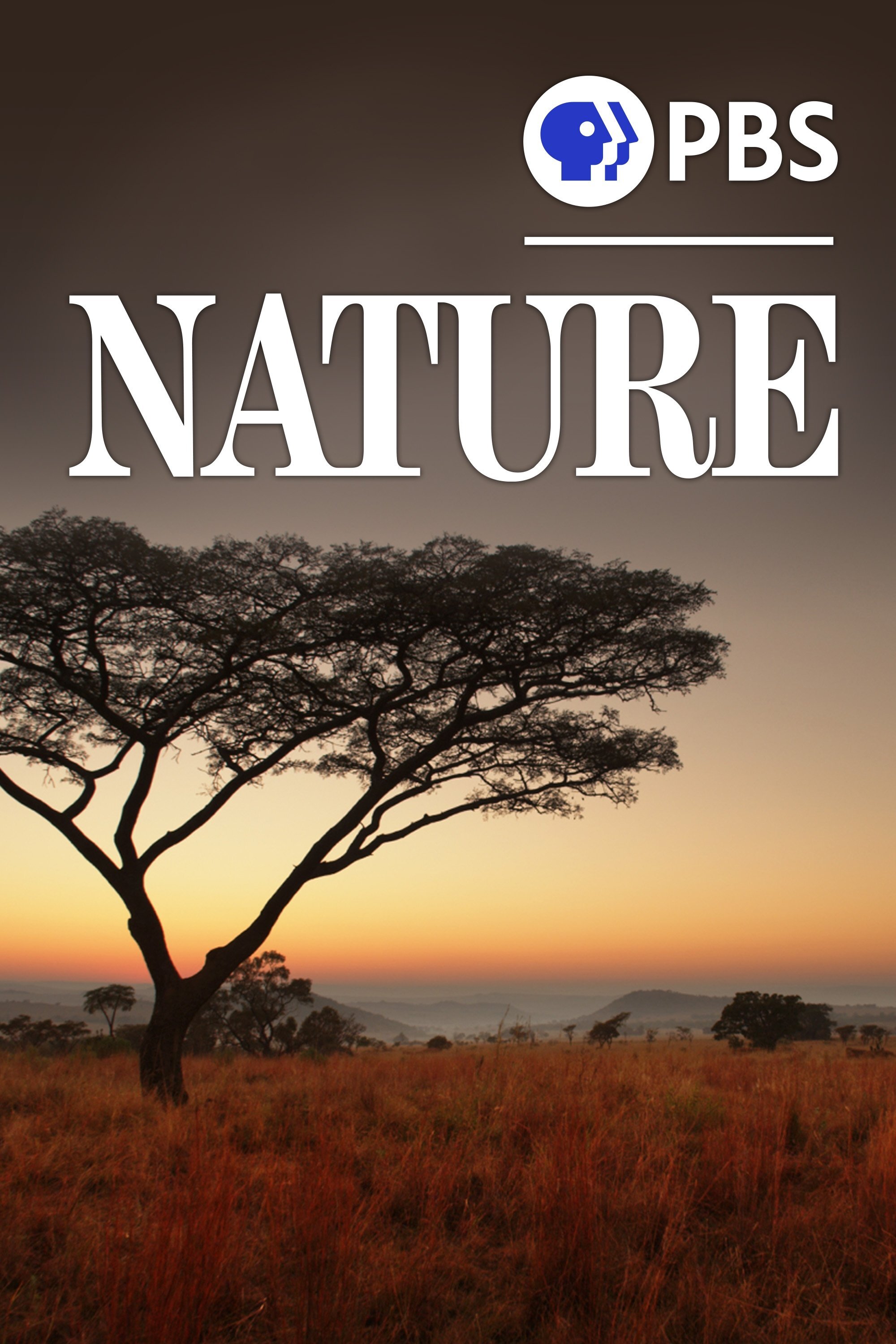 Nature Dizi afişi