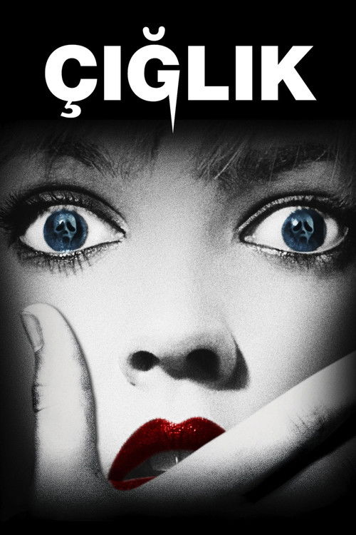 Çığlık Film afişi