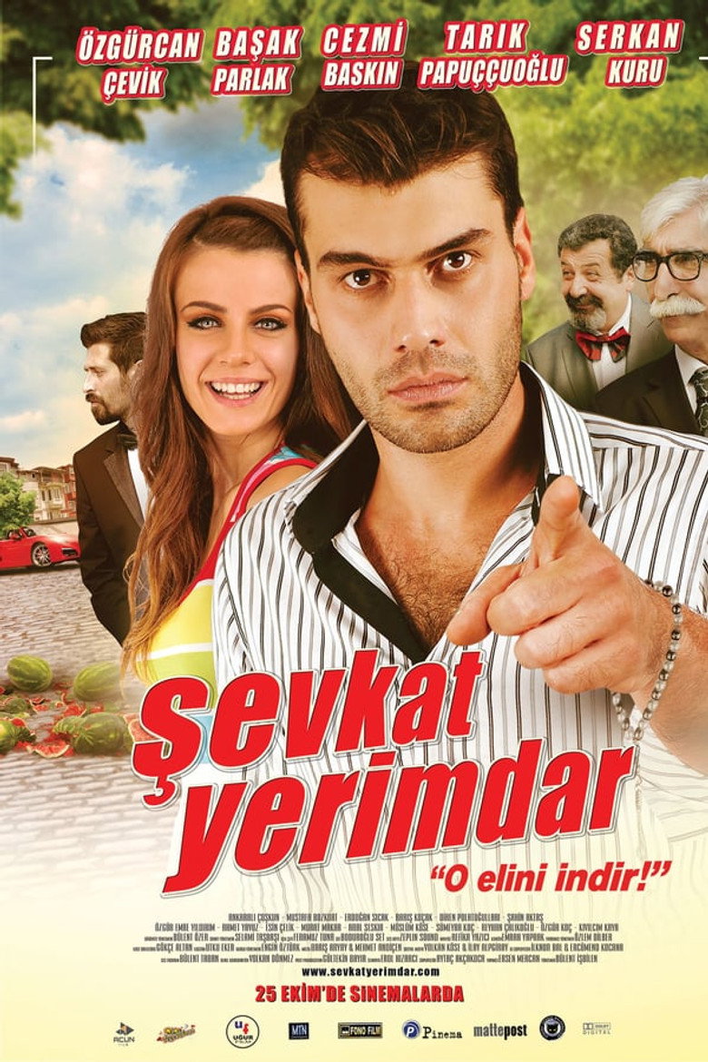 Şevkat Yerimdar Film afişi