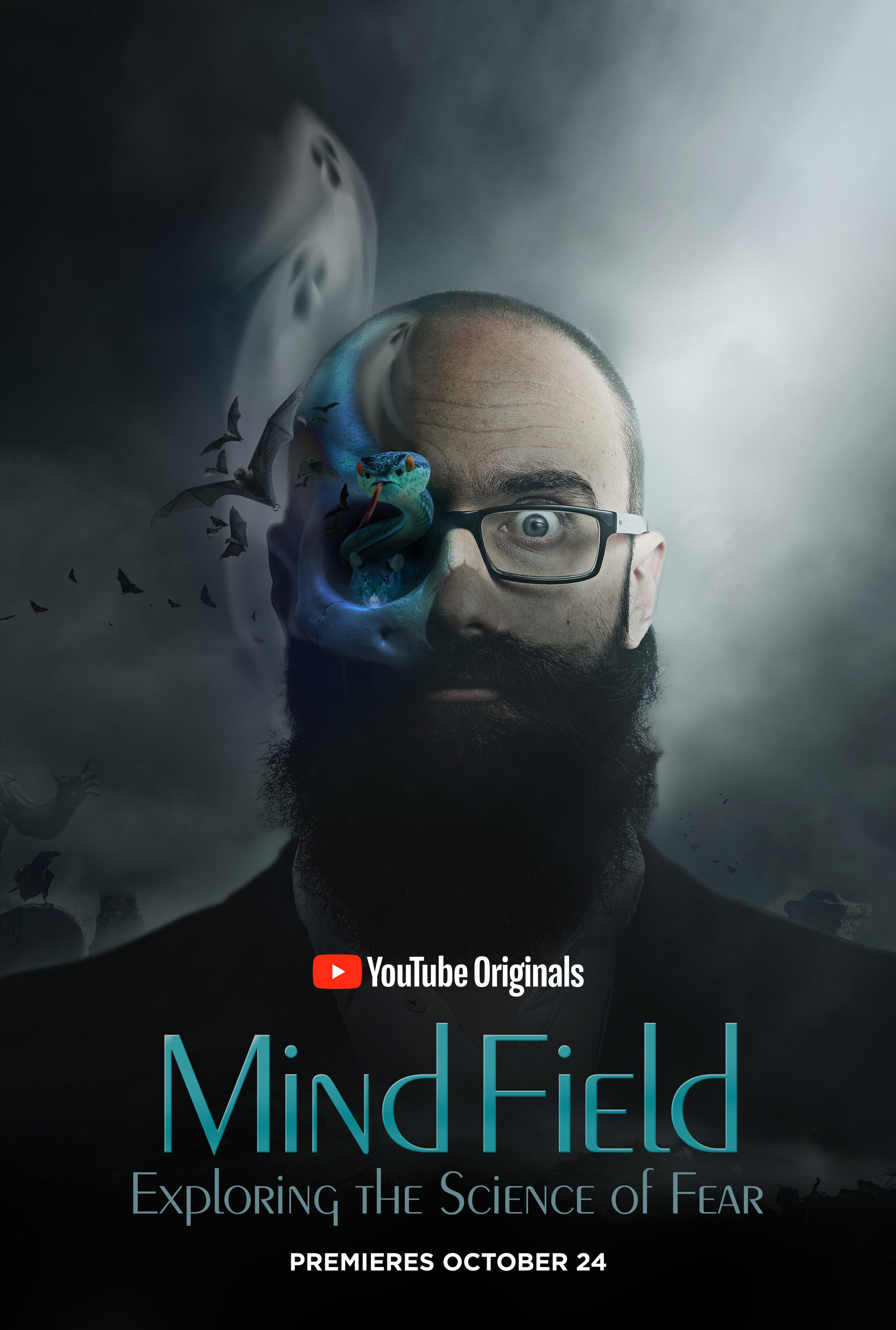 Mind Field Dizi afişi