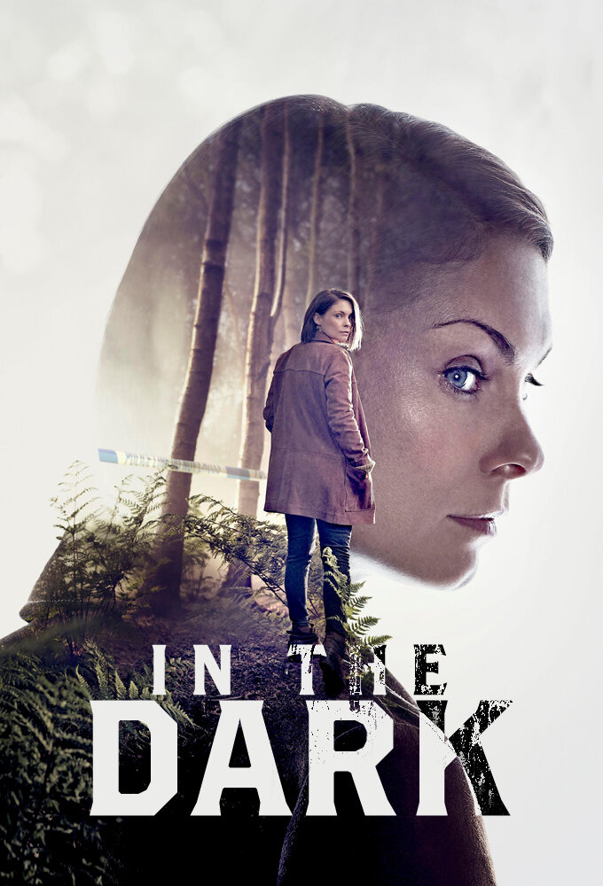 In the Dark Dizi afişi