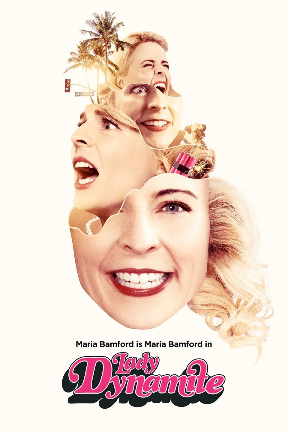 Lady Dynamite Dizi afişi
