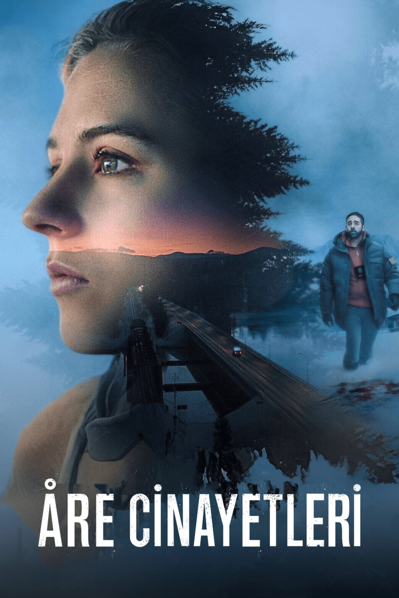 Åre Cinayetleri Dizi afişi