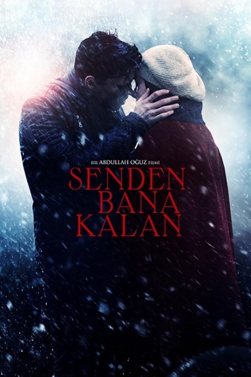 Senden Bana Kalan Film afişi
