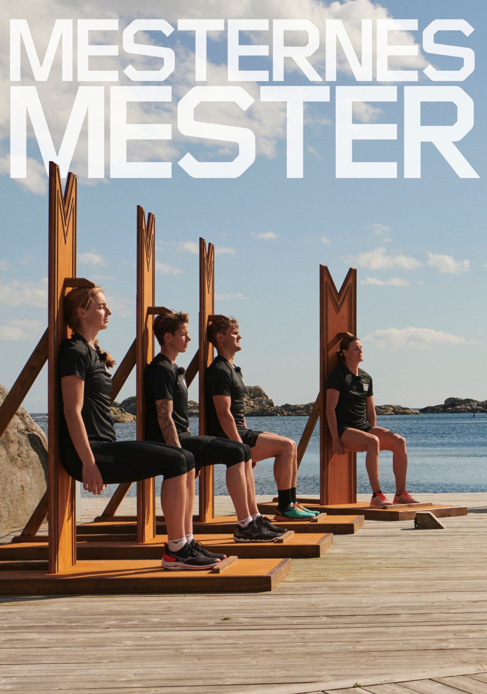 Mesternes Mester Dizi afişi
