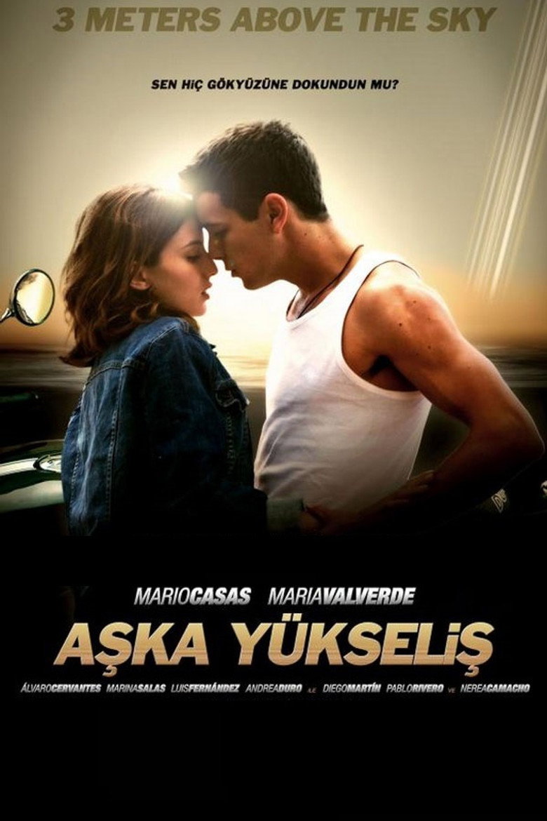 Aşka Yükseliş Film afişi