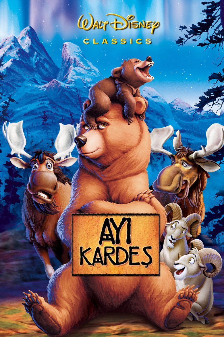 Ayı Kardeş Film afişi