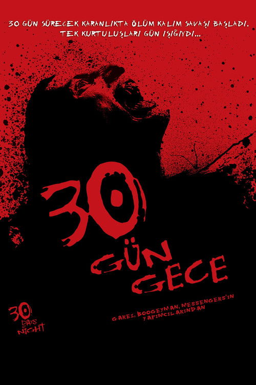 30 Gün Gece Film afişi