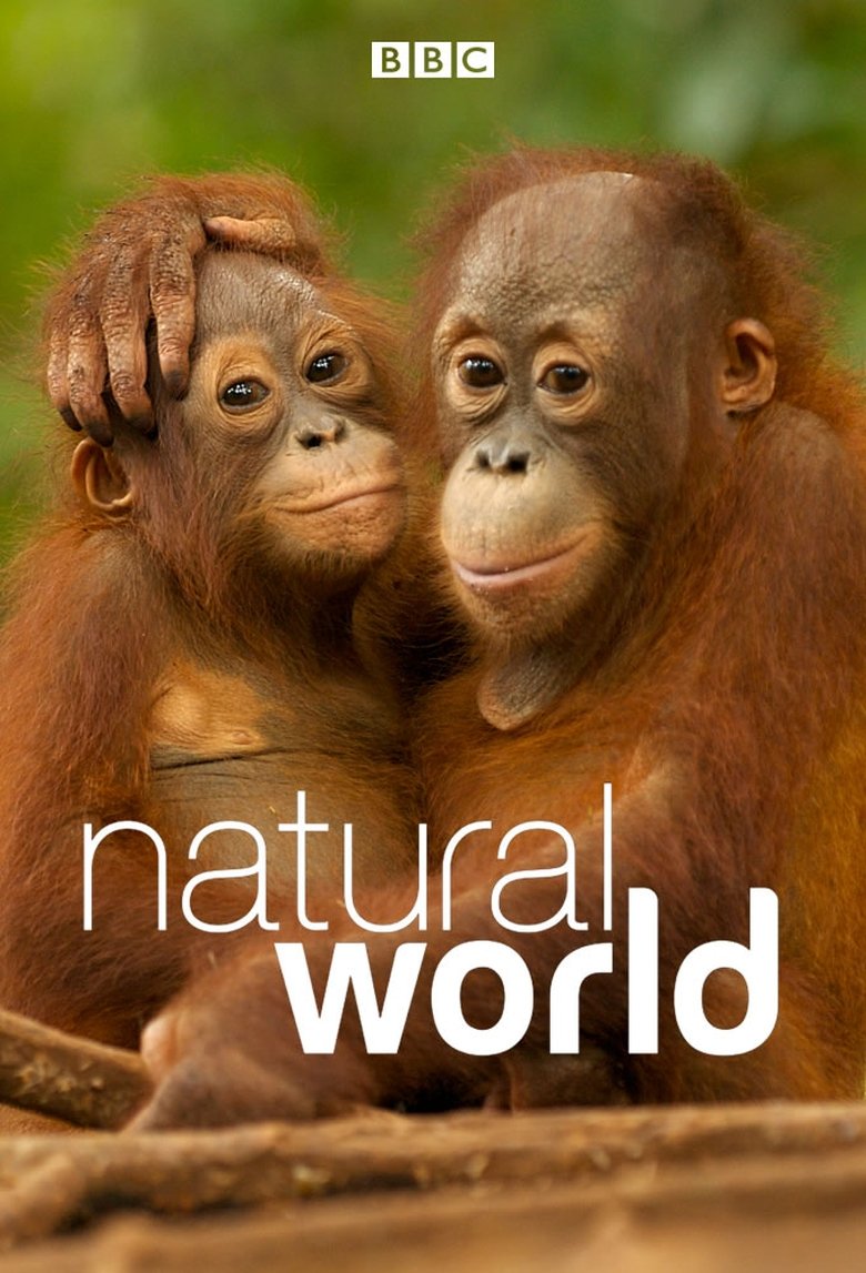 Natural World Dizi afişi