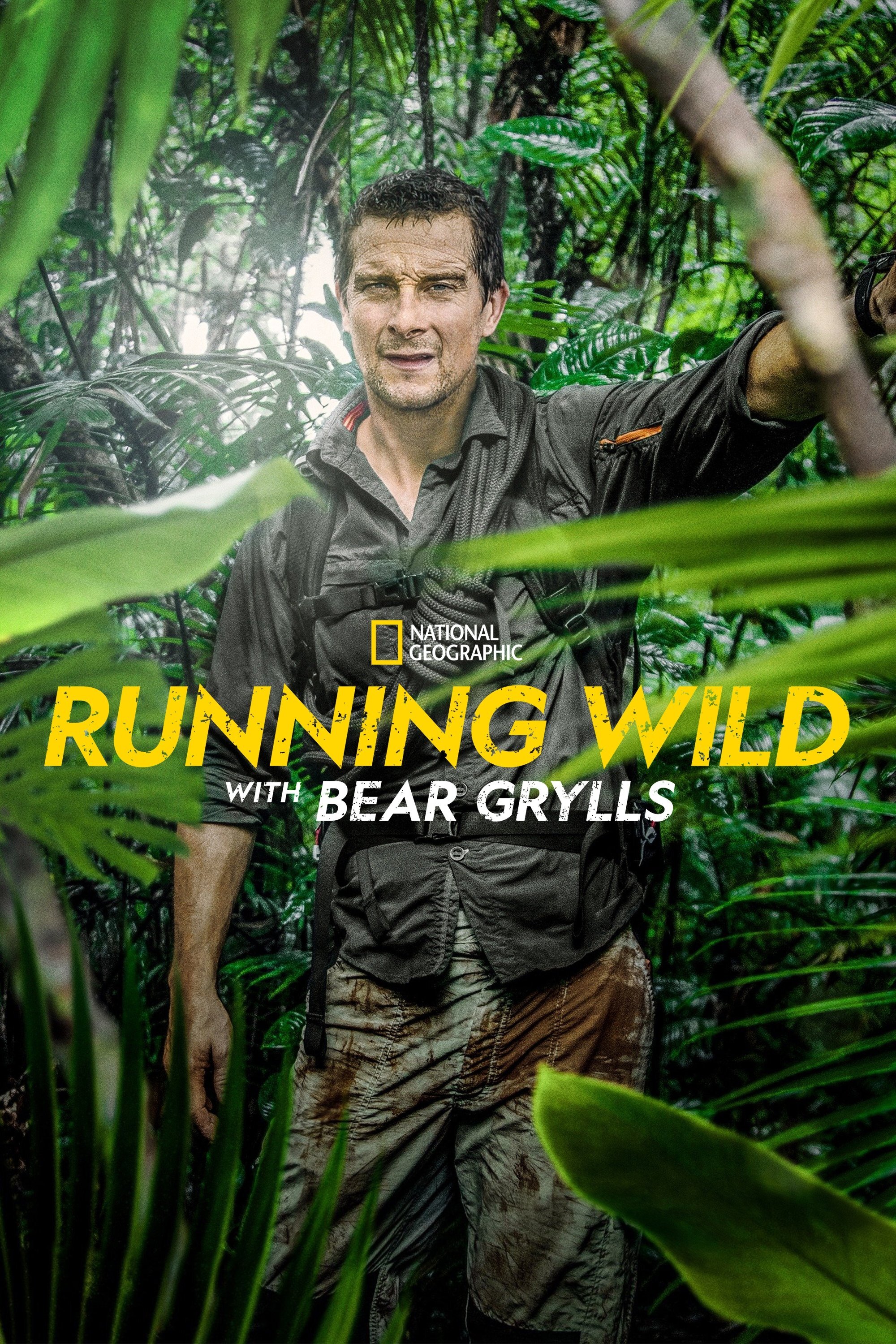 Bear Grylls ile Yabanda Dizi afişi