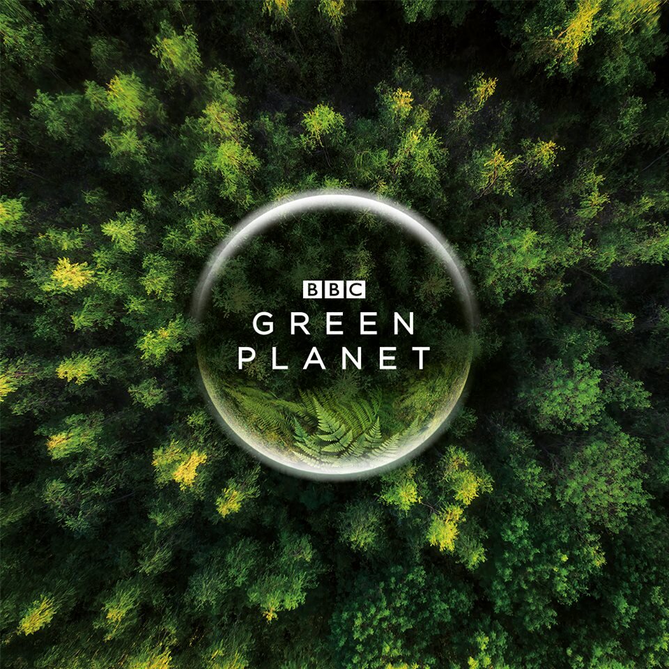 The Green Planet Dizi afişi