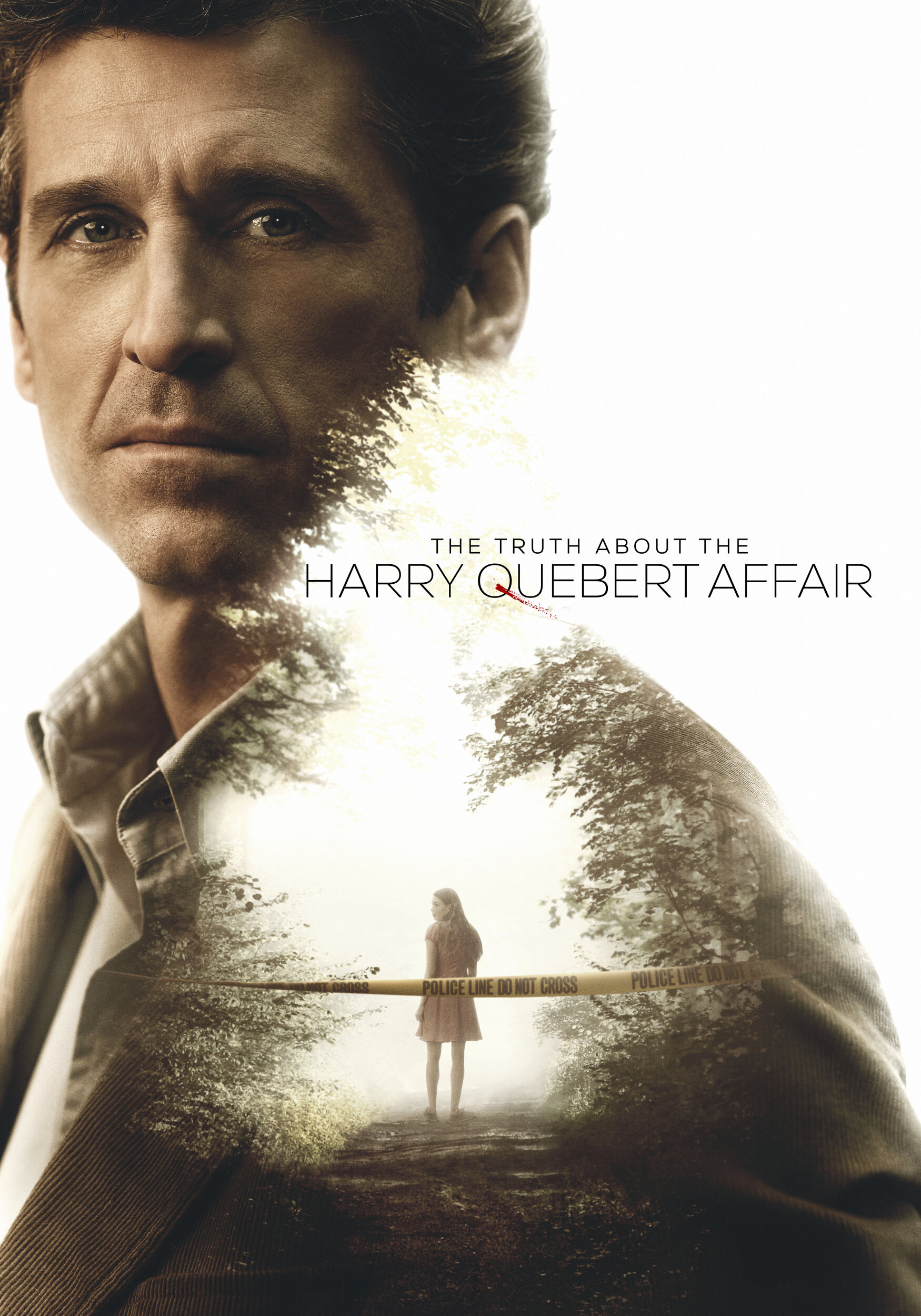 The Truth About the Harry Quebert Affair Dizi afişi