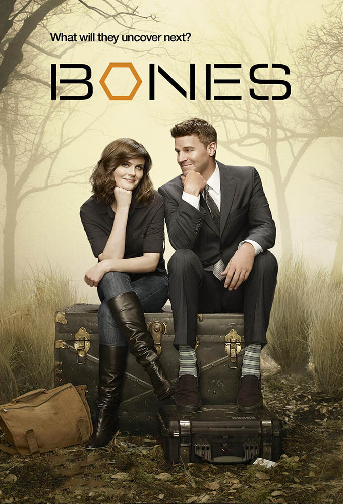 Bones Dizi afişi