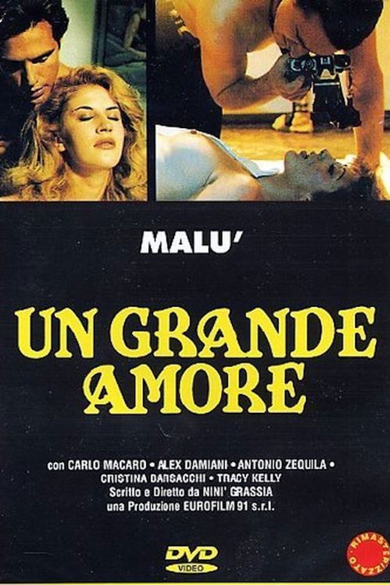 Un grande amore Film afişi