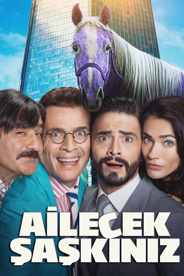 Ailecek Şaşkınız Film afişi