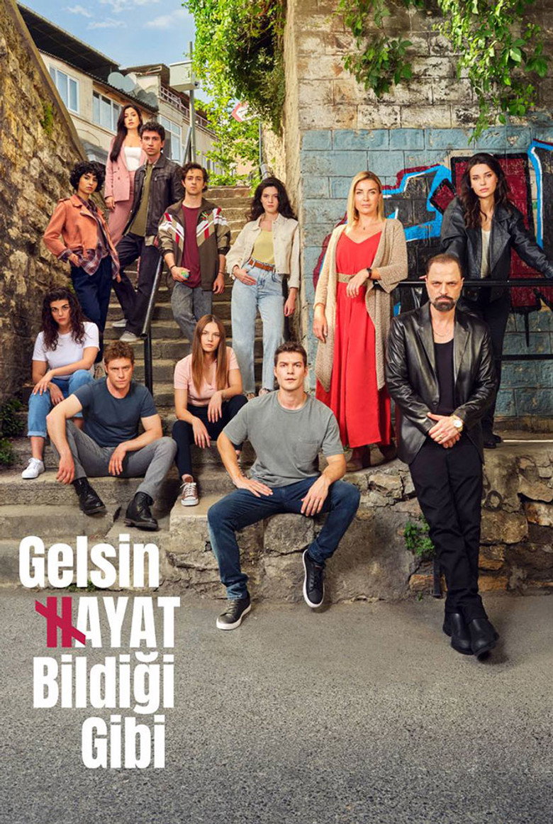 Gelsin Hayat Bildiği Gibi Dizi afişi