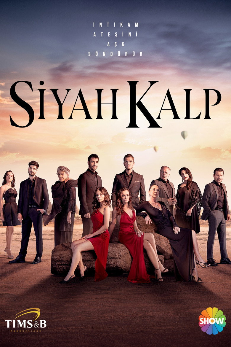 Siyah Kalp Dizi afişi