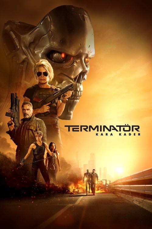 Terminatör: Kara Kader Film afişi