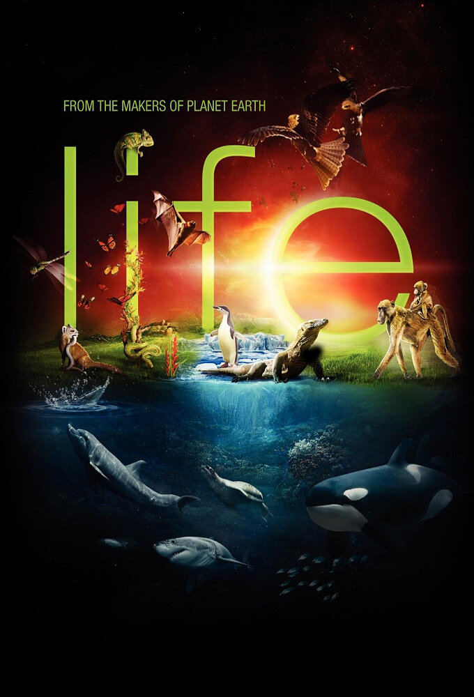 Life Dizi afişi