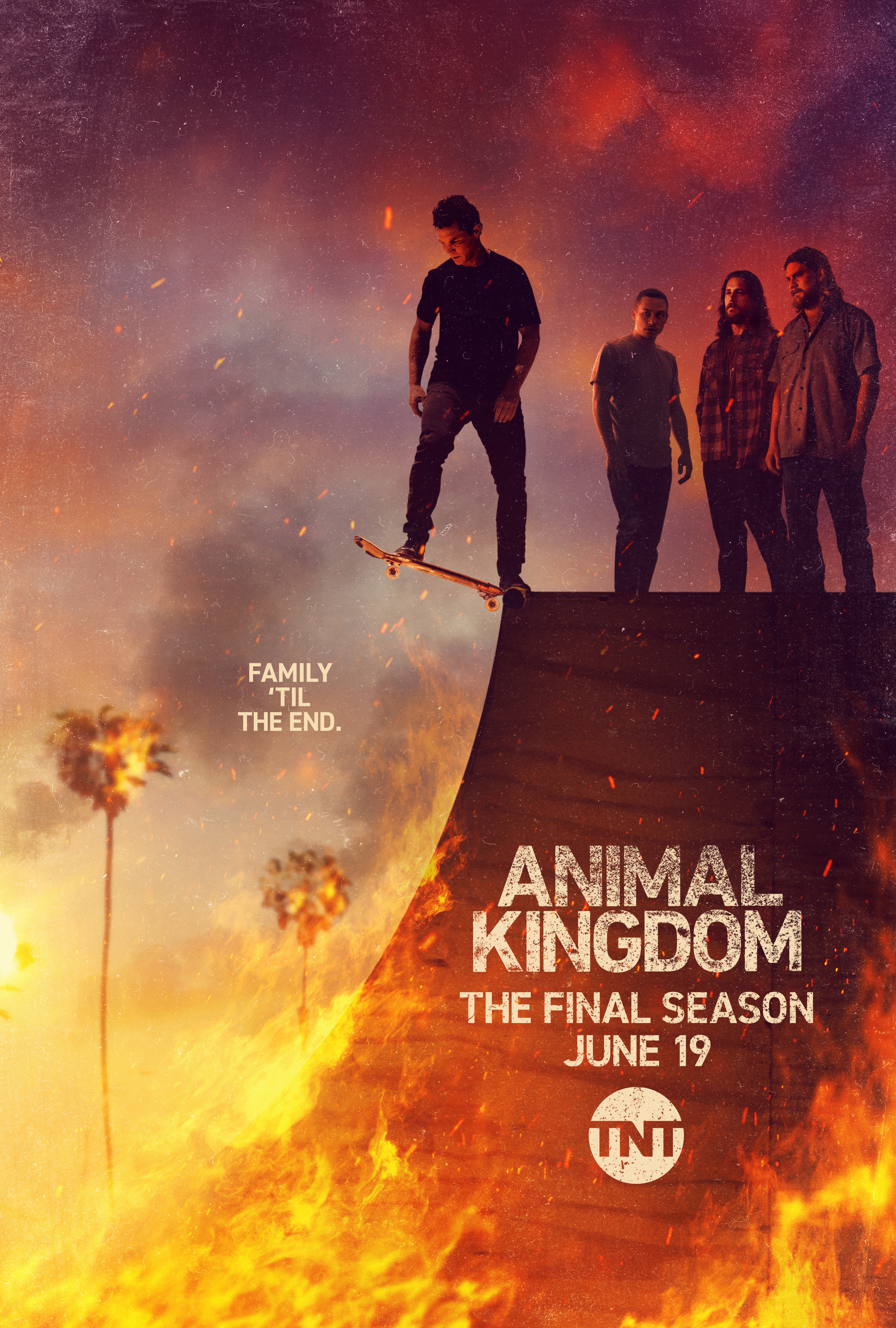 Animal Kingdom Dizi afişi