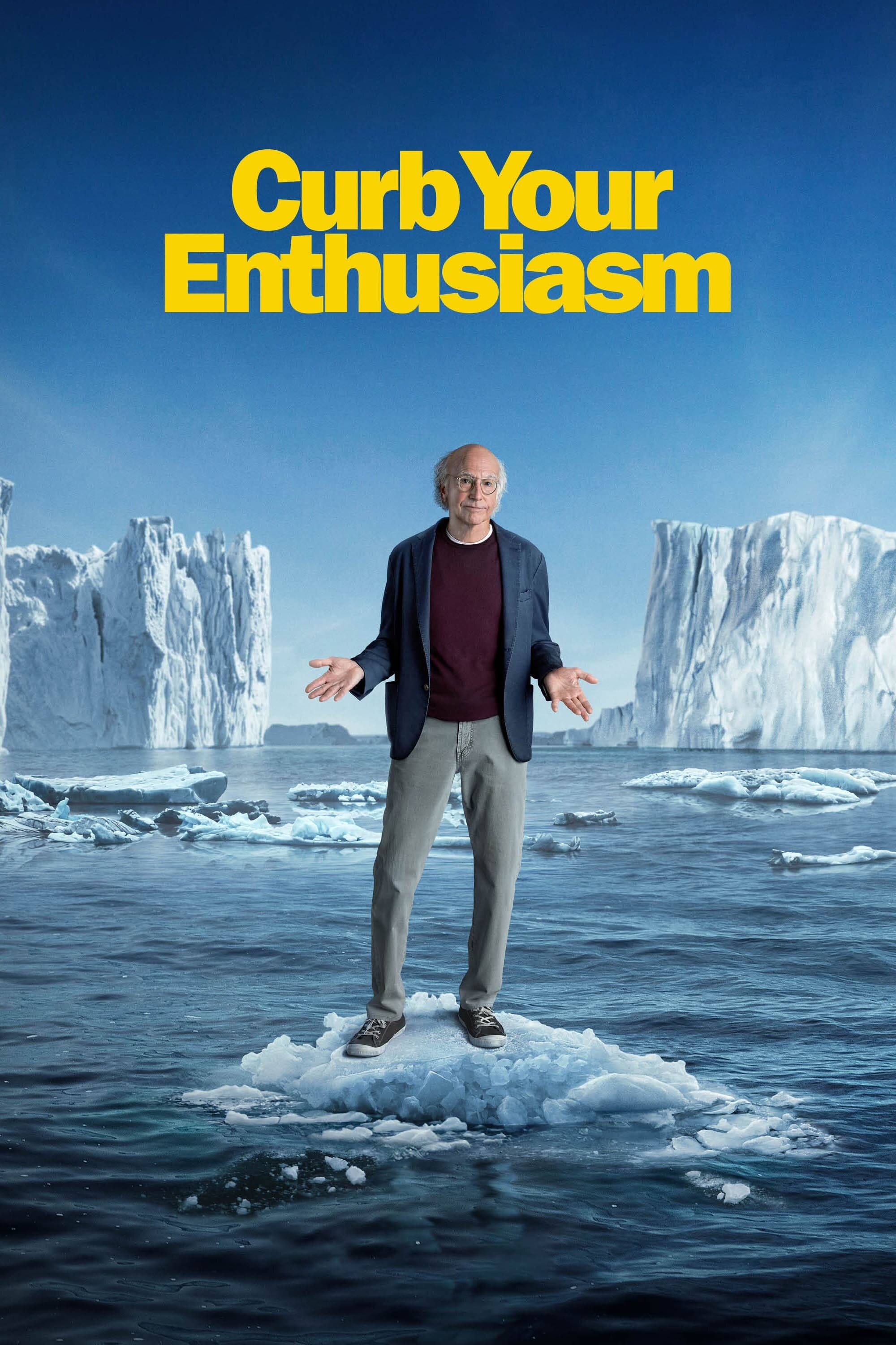Curb Your Enthusiasm Dizi afişi