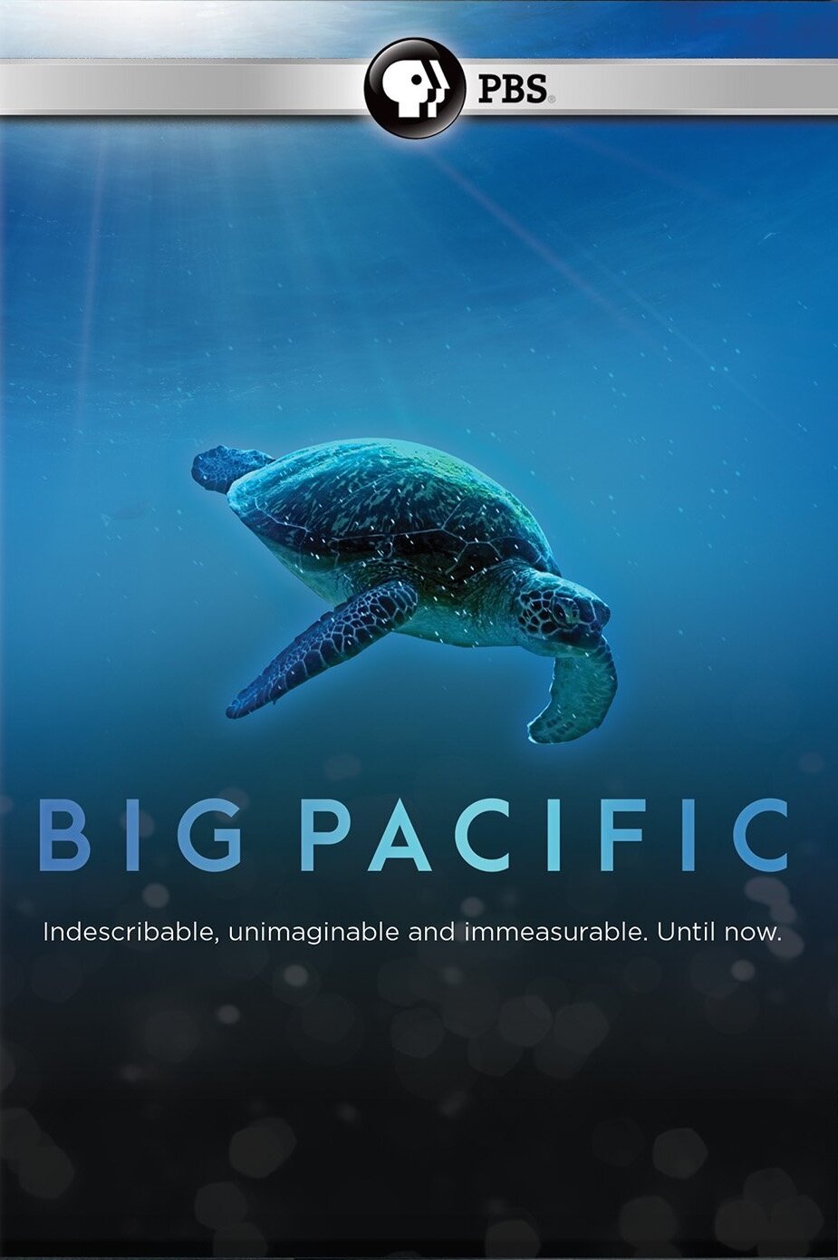 Big Pacific Dizi afişi